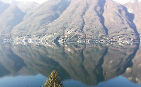 Giardino Sul Lago, La Vigna